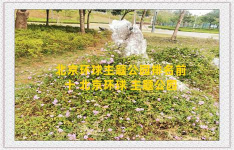 北京环球主题公园排名前十 北京环球 主题公园